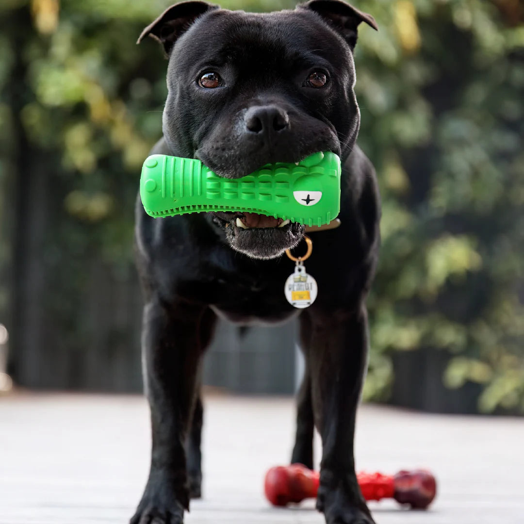 Croc Chewing Toy