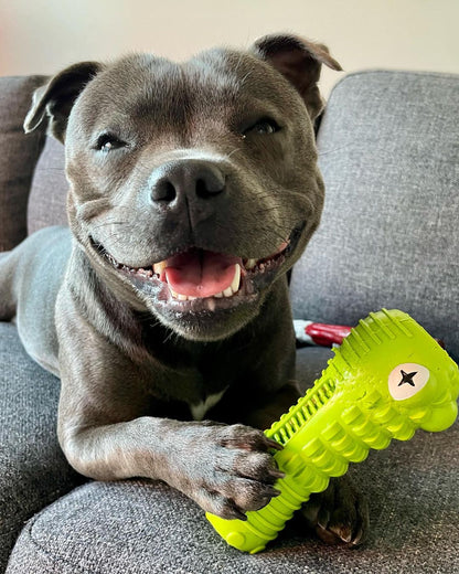 Croc Chewing Toy