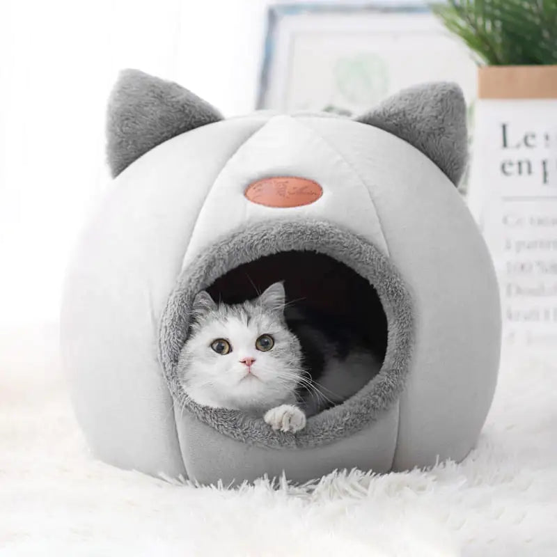 Comfy Cat Bed