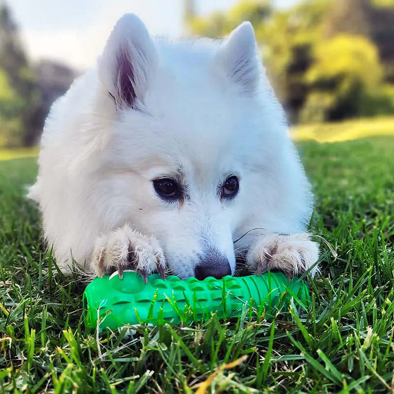 Croc Chewing Toy