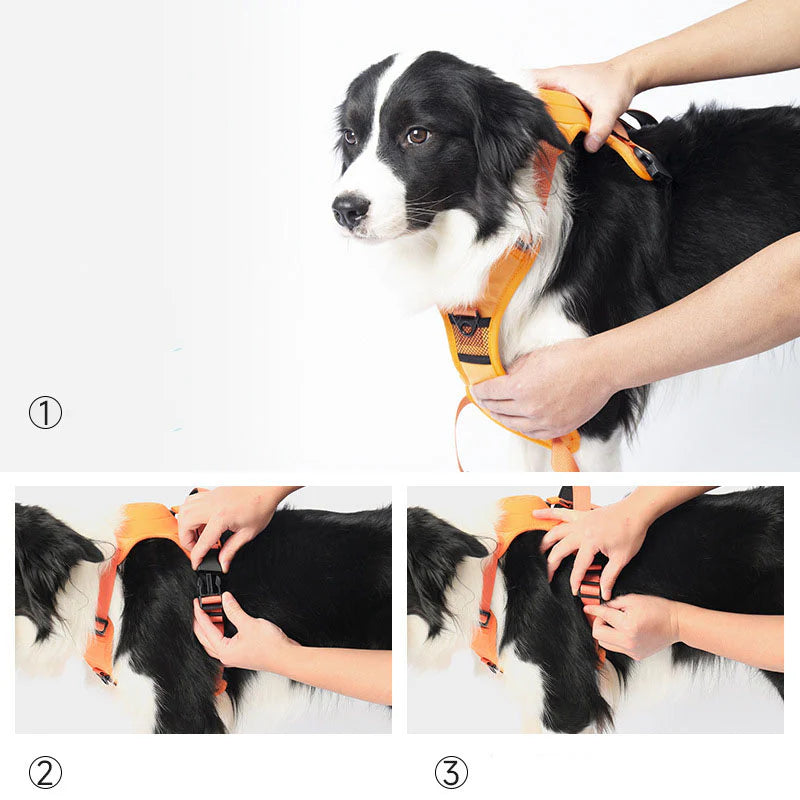 Comfywalk Harness and Leash