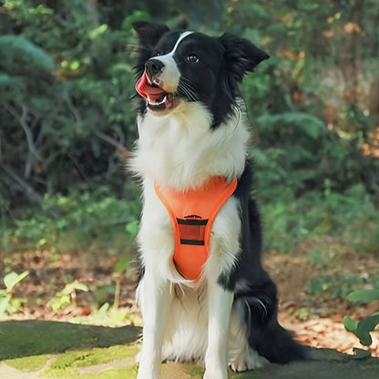 Comfywalk Harness and Leash