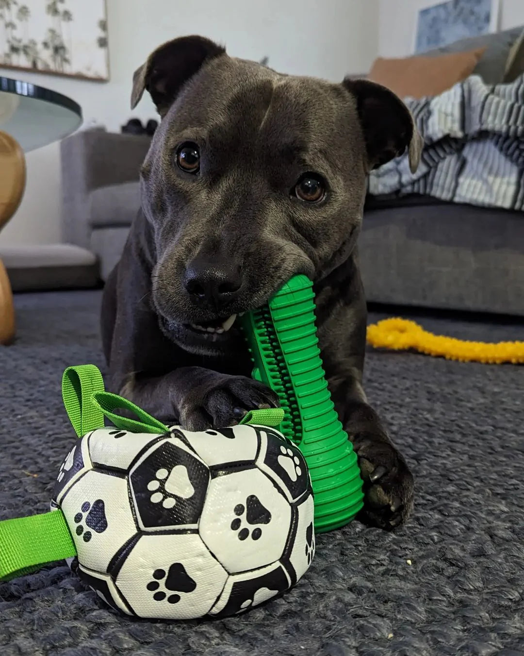 Croc Chewing Toy