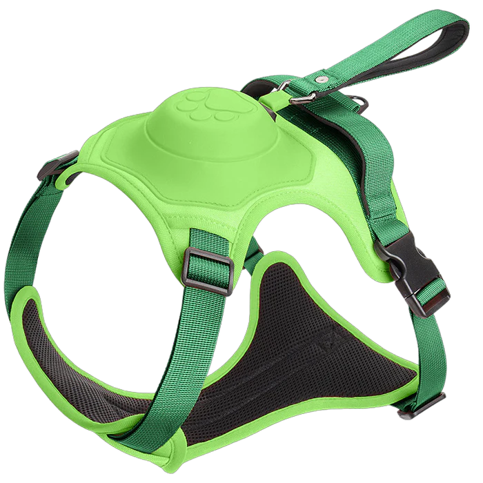 Comfywalk Harness and Leash