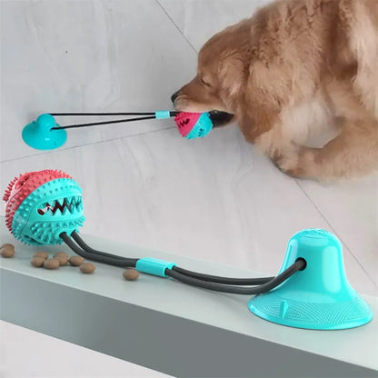 Suction Ball